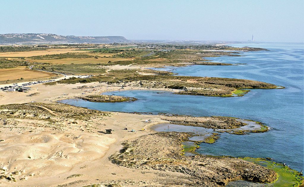 תמונת רקע לדף נחלי החוף- בית גידול נדיר