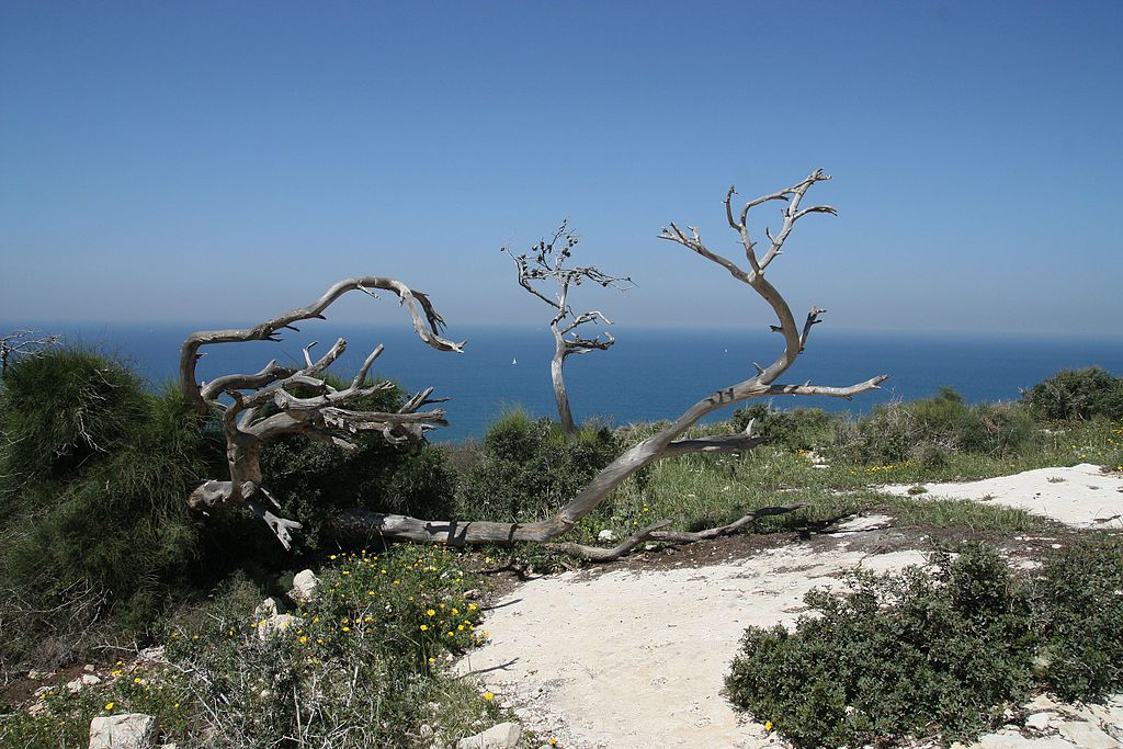 תמונת רקע לדף שינוי האקלים