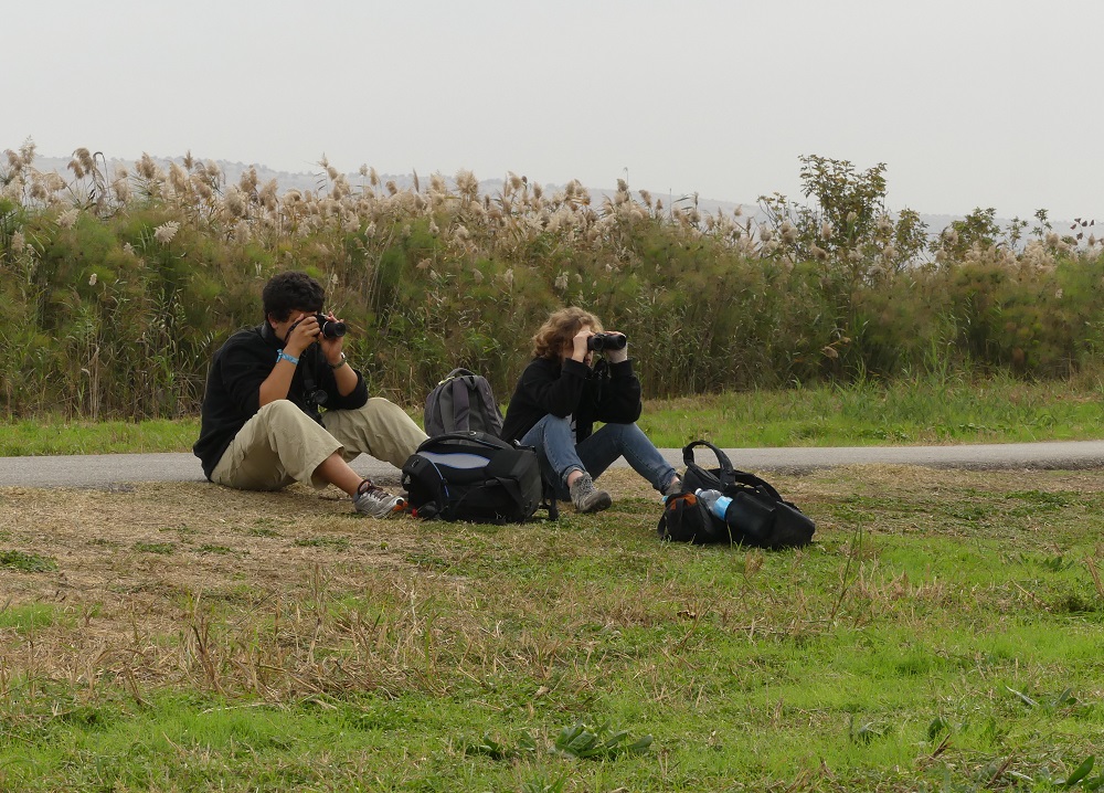תמונת רקע לדף ספירת ציפורי בר בחצר הבית