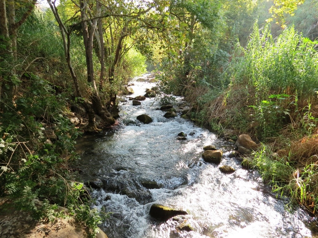 תמונת רקע לדף השבת מים לנחלים
