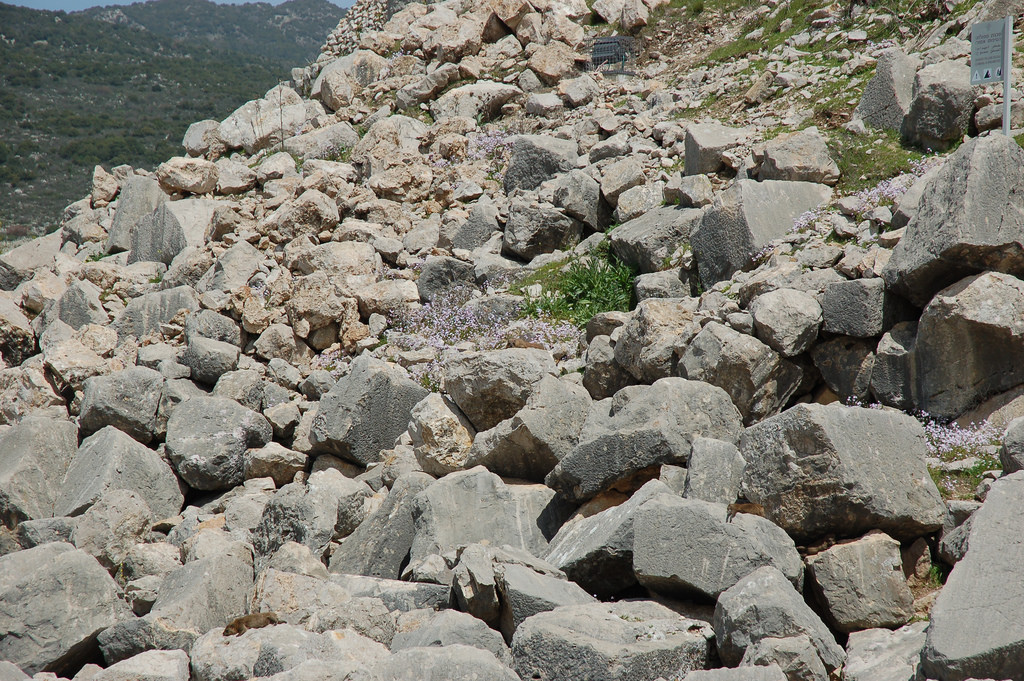 תמונת רקע לדף הגדרת סלעים בשטח