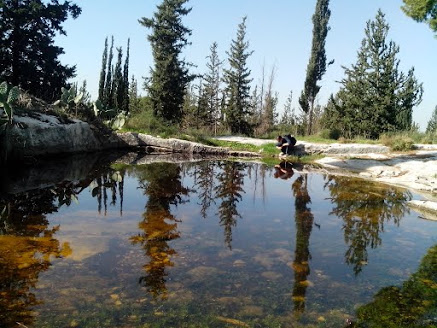 קובץ:Shlolit background.jpg